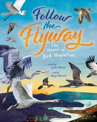 Follow the Flyway: The Marvel of Bird Migration book