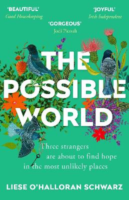 The The Possible World by Liese O'Halloran Schwarz