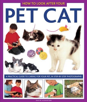 How to Look After Your Pet Cat book