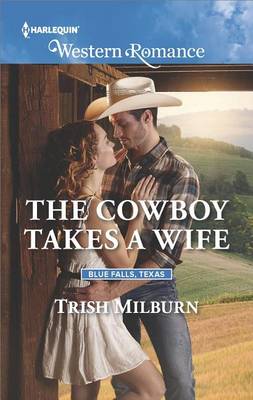 Cowboy Takes a Wife book