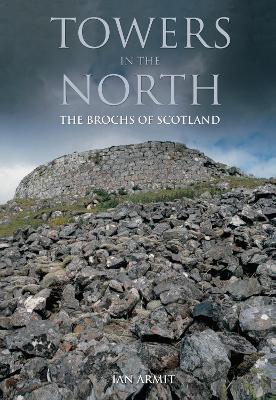 Towers in the North book