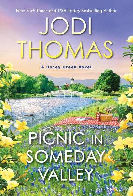 Picnic in Someday Valley book