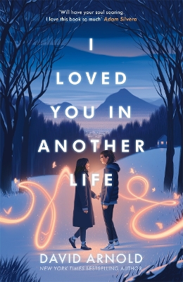 I Loved You In Another Life book