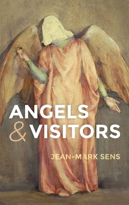 Angels and Visitors book