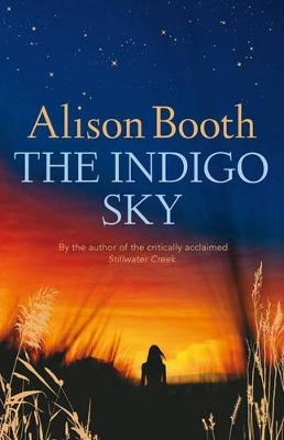 Indigo Sky book