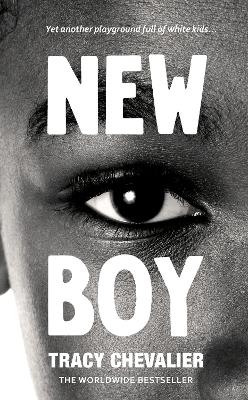 New Boy book
