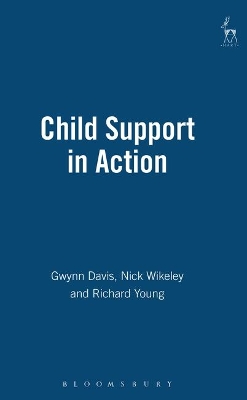 Child Support in Action by Nicholas Wikeley