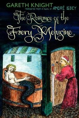 Romance of the Faery Melusine book