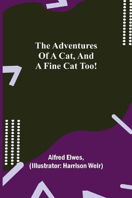The Adventures of a Cat, and a Fine Cat Too! book