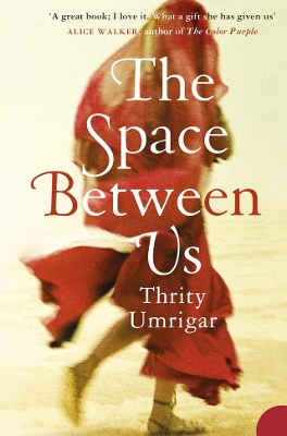 Space Between Us book