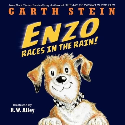 Enzo Races in the Rain! book