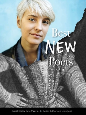 Best New Poets 2019: 50 Poems from Emerging Writers book