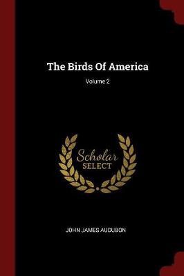 Birds of America; Volume 2 by John James Audubon