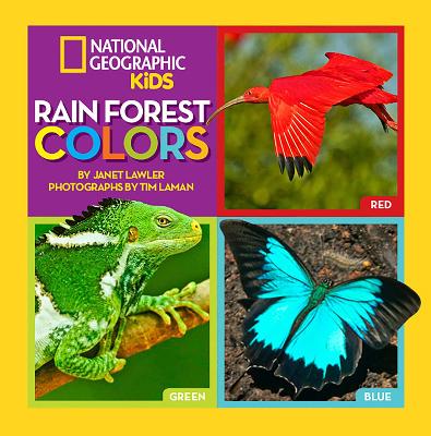 Rain Forest Colors book