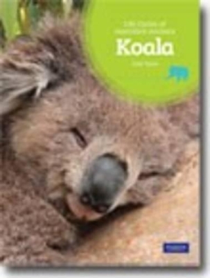 Koala by Greg Pyers