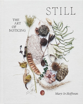 STILL: The Art of Noticing book