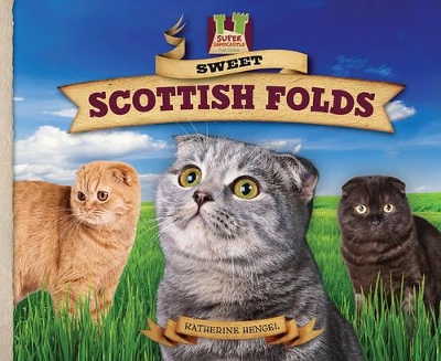 Sweet Scottish Folds book