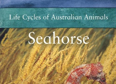 Seahorse by Greg Pyers