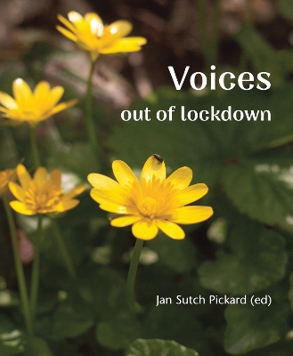 Voices Out of Lockdown book