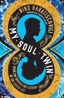 My Soul Twin book