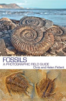 Fossils book