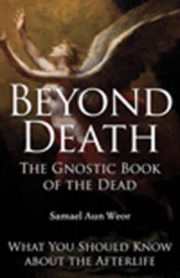 Beyond Death: The Gnostic Book of the Dead What You Should Know About the Afterlife book