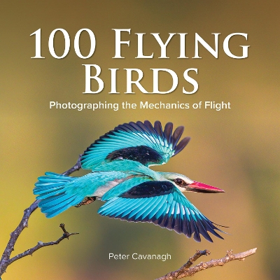 100 Flying Birds: Photographing the Mechanics of Flight book