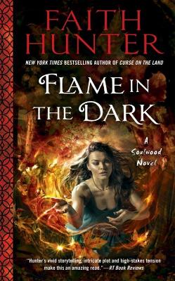 Flame In The Dark book