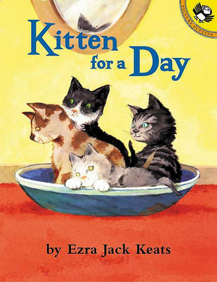 Kitten for a Day book