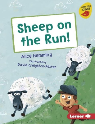 Sheep on the Run! book