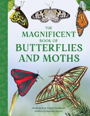 The Magnificent Book of Butterflies and Moths book