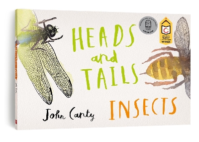 Heads and Tails Insects by John Canty