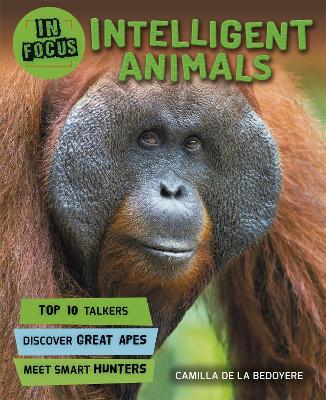 In Focus: Intelligent Animals book