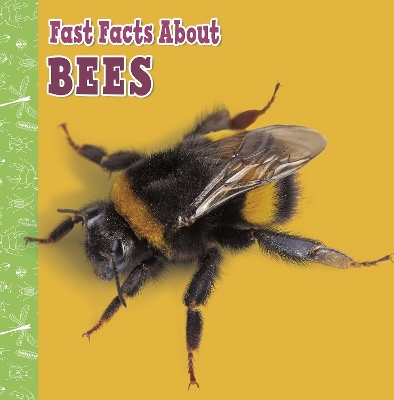 Fast Facts About Bees by Lisa J Amstutz
