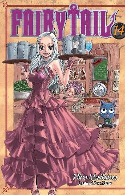 Fairy Tail 14 book