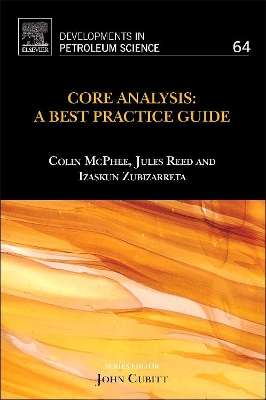 Core Analysis: A Best Practice Guide book