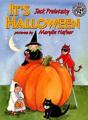 It's Halloween book