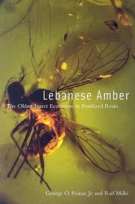 Lebanese Amber book