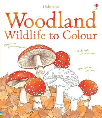 Woodland Wildlife to Colour by Susan Meredith