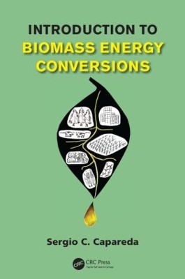 Introduction to Biomass Energy Conversions by Sergio Capareda