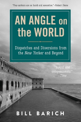Angle on the World book