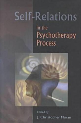 Self-relations in the Psychotherapy Process book