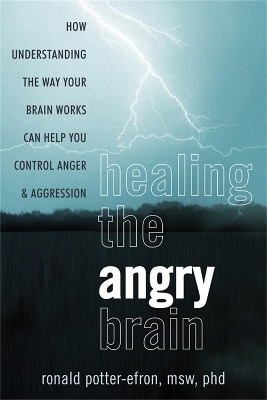 Healing the Angry Brain book