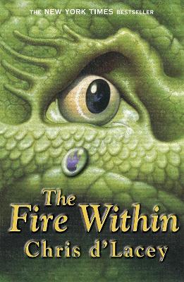 Last Dragon Chronicles: The Fire Within book