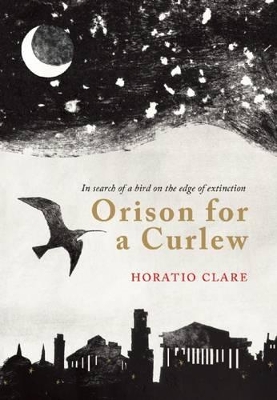 Orison for a Curlew by Horatio Clare