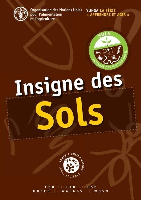 Insigne des sols book