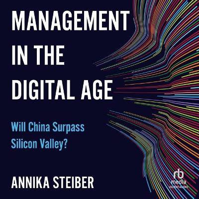 Management in the Digital Age: Will China Surpass Silicon Valley? by Annika Steiber