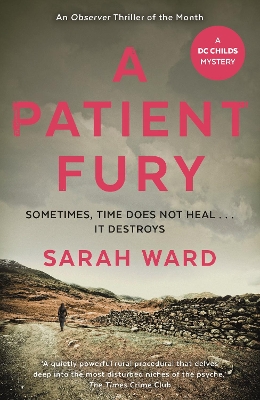 Patient Fury book
