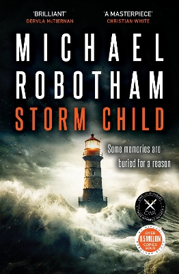 Cyrus Haven: #4 Storm Child book