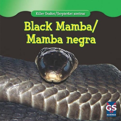 Black Mamba/Mamba Negra by Angelo Gangemi